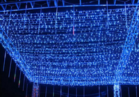 LumiFest LED-Lichterkette – Für den Außenbereich