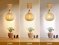 BambooAura Wandleuchte – Japandi-Stil