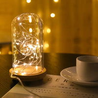 LumineoPro LED-Lichterkette – Kupfer