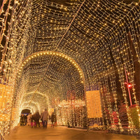 LumiFest LED-Lichterkette – Für den Außenbereich