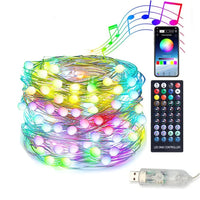 LUMISHOW LED-Lichterkette – Fernbedienung