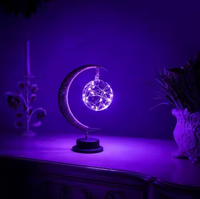 Enchanted Leuchte – Dekorative Beleuchtung