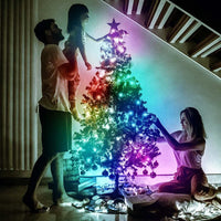 LUMISHOW LED-Lichterkette – Fernbedienung